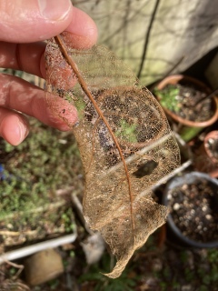 photo/b08a4516-edc5-45f6-93f9-c7f80af49b09-3