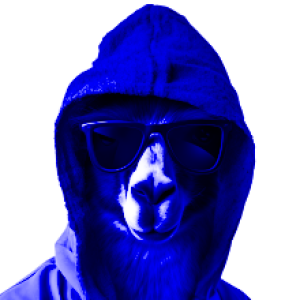 Blue Nomad  auf 𝆑forte 𝆑